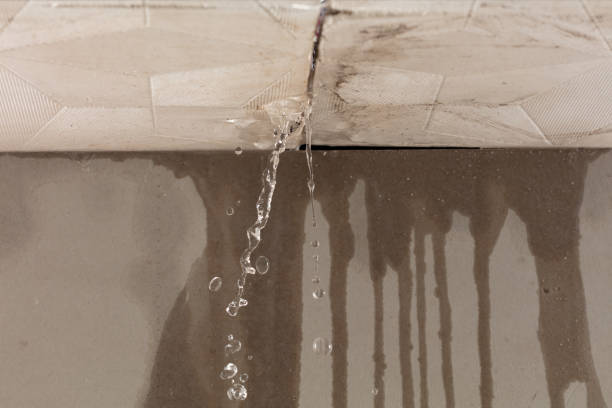 Professional Emergency Water Removal technician working in Trenton, FL
